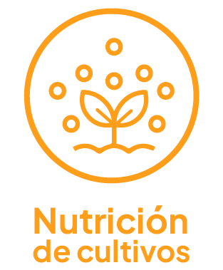 NUTRICION CULTIVO